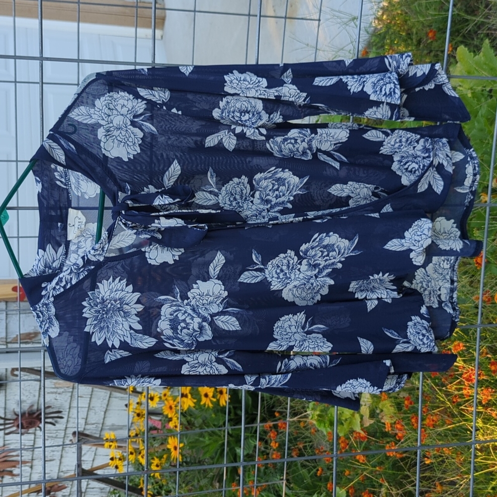 Sheer Bow Blouse